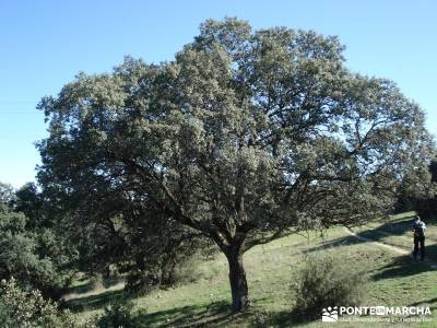 Azud del Mesto - Cascada del Hervidero;a tu aire senderismo tiendas de montaña en madrid